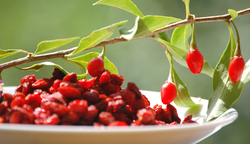 Fresh Goji Berry