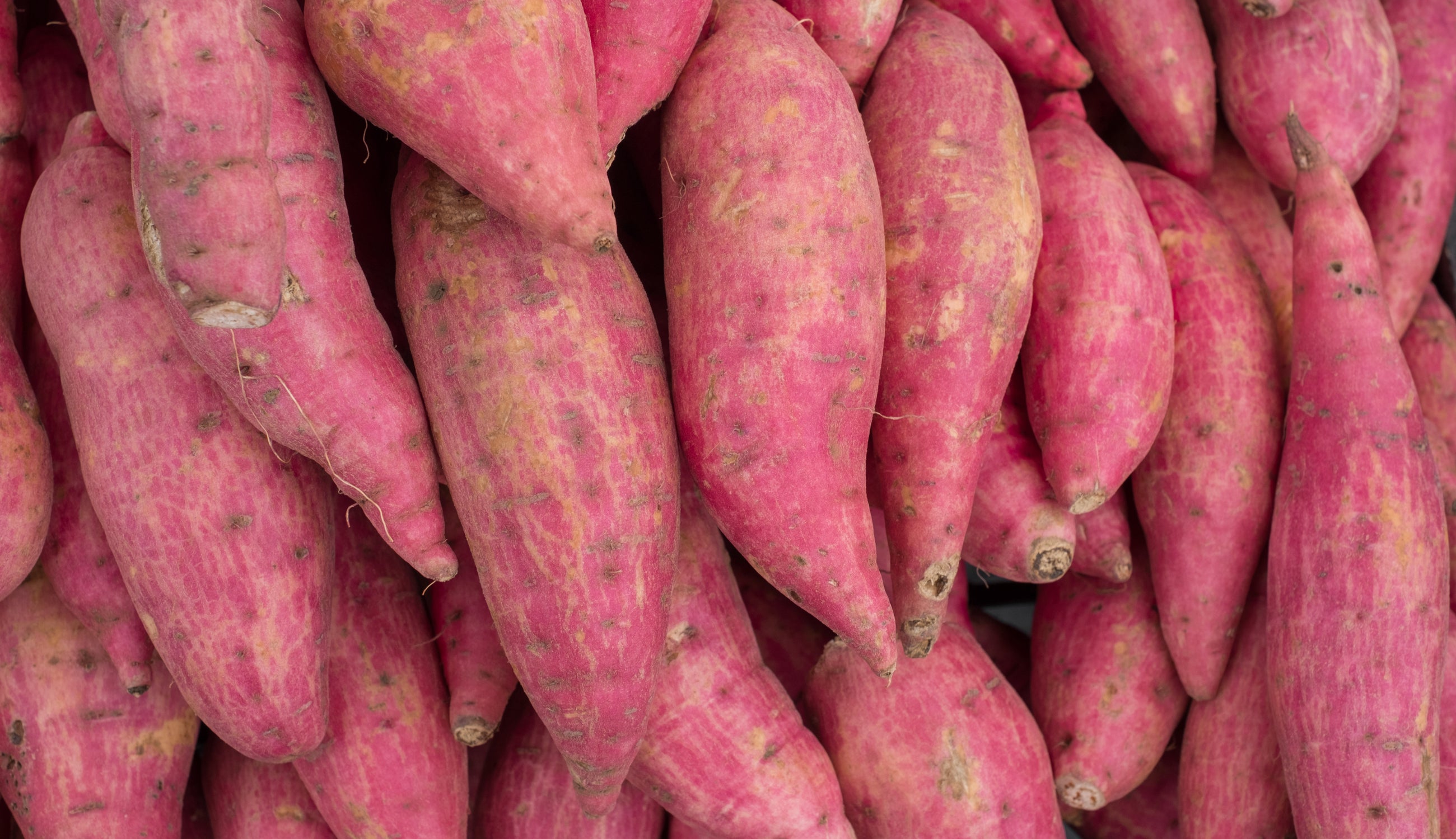 Sweet Potato Hyalouronic Acid