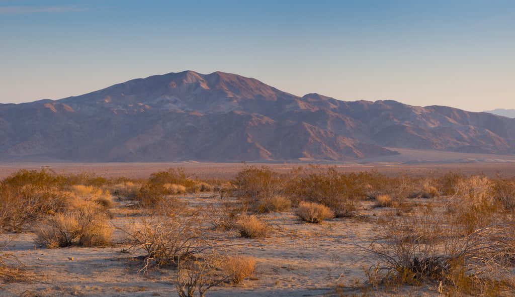 Desert shot showcasing dry and barren land