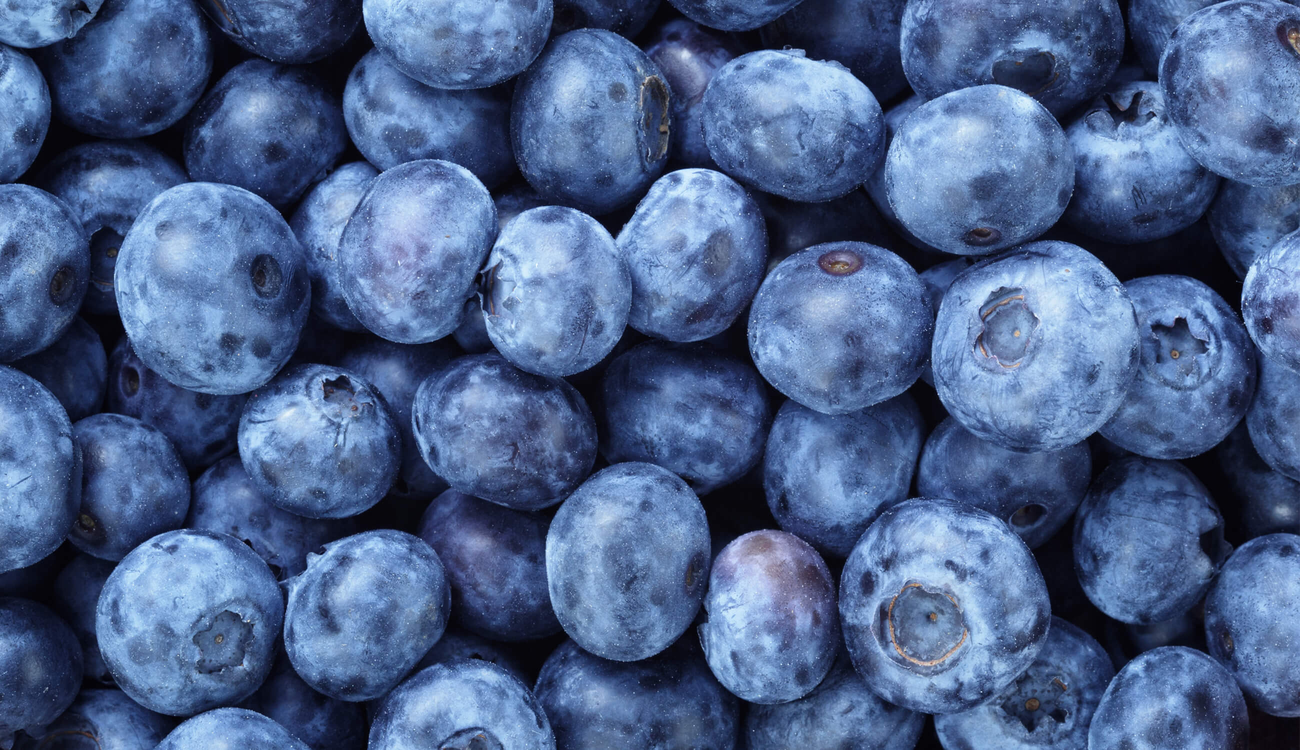 Blue berries